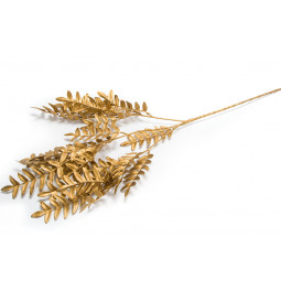 Декоративное растение Polypody California, H77cm