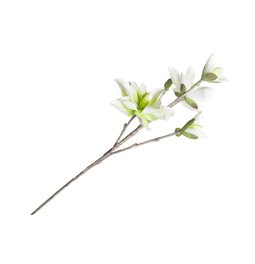 Branch Medea with green/white flowers, H109cm