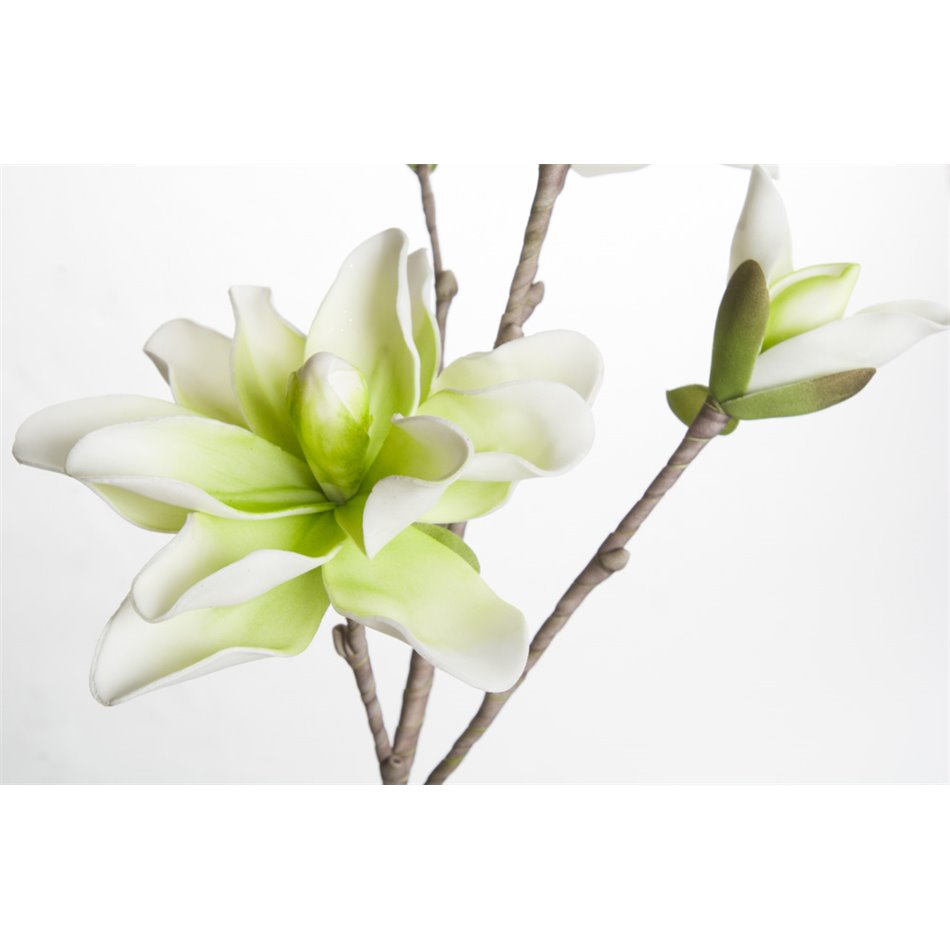 Branch Medea with green/white flowers, H109cm