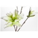 Branch Medea with green/white flowers, H109cm