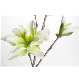 Branch Medea with green/white flowers, H109cm