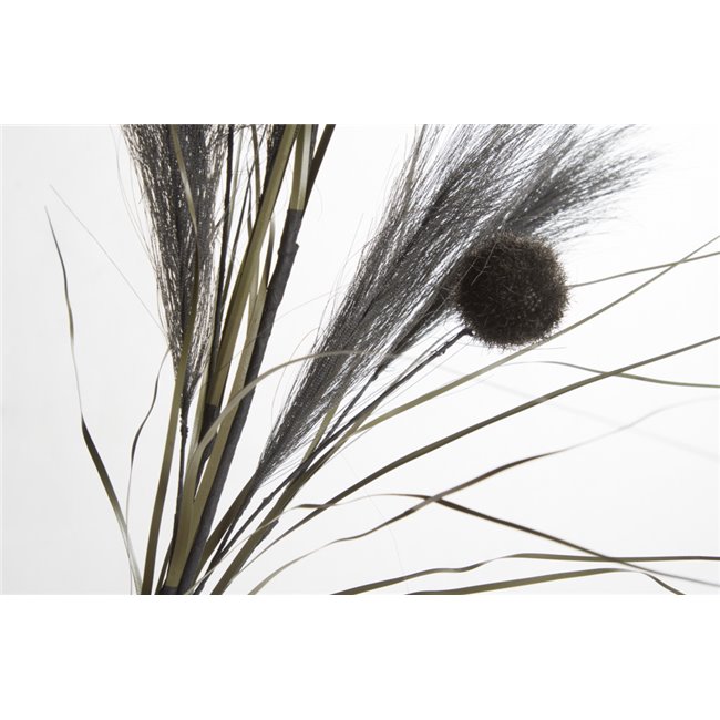 Decorative plant Meskantus Lady Black, 89cm