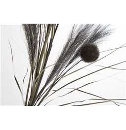 Decorative plant Meskantus Lady Black, 89cm