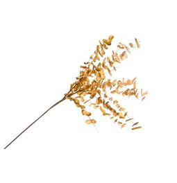 Decorative plant Barberis OR, 91cm