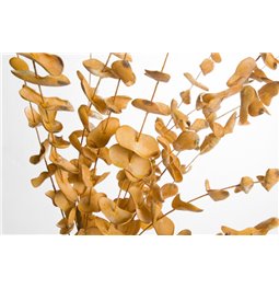 Decorative plant Barberis OR, 91cm