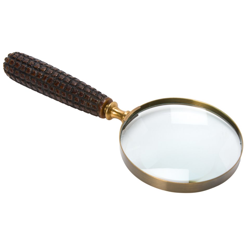 Brass 4 magnifier with resin handle brass finish, 25.5x10x3c