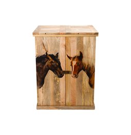 Bar Adwolf, mango wood, 80x57x106cm