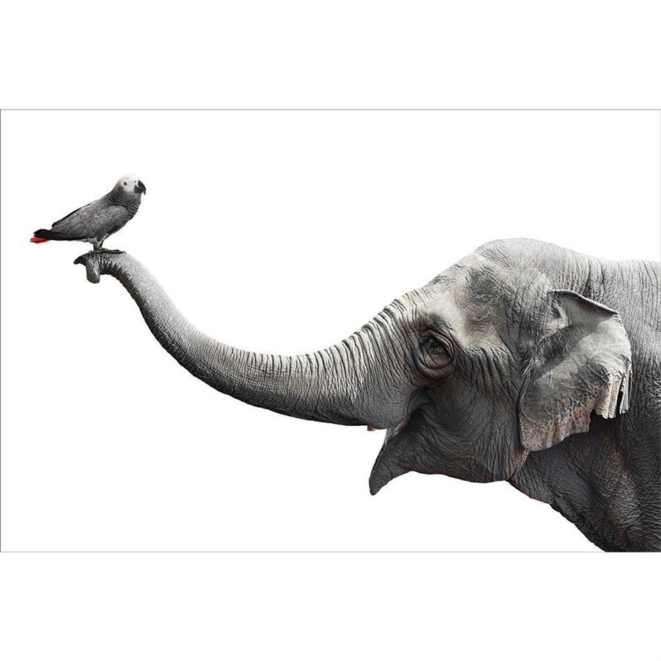 Wall glass art Friends