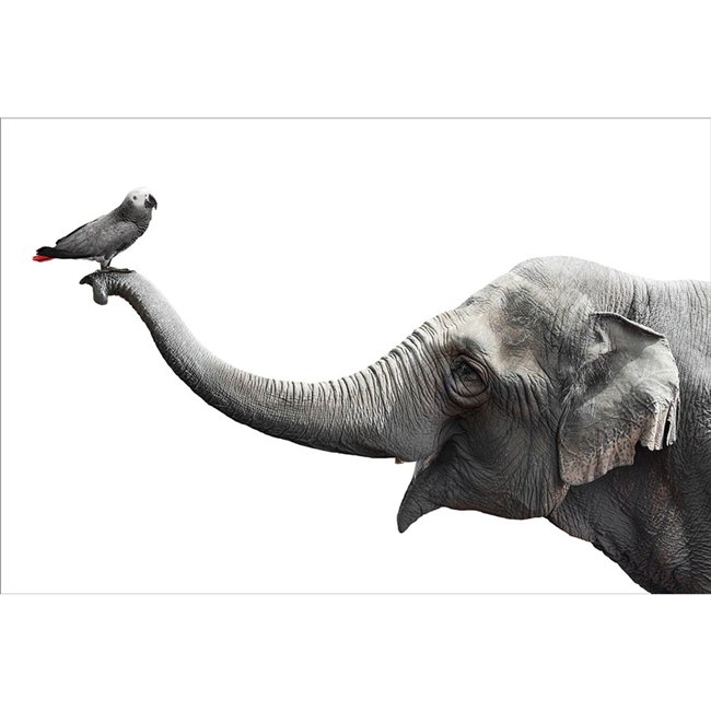 Wall glass art Friends