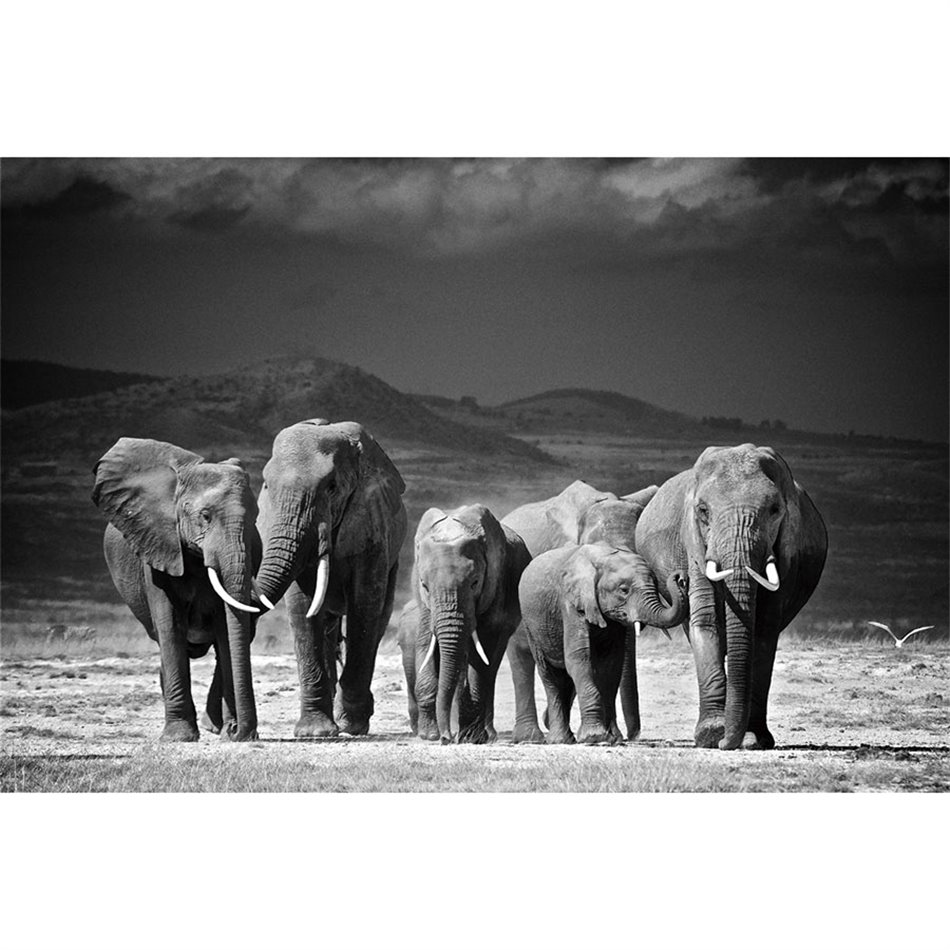 Wall glass art Elephant Family