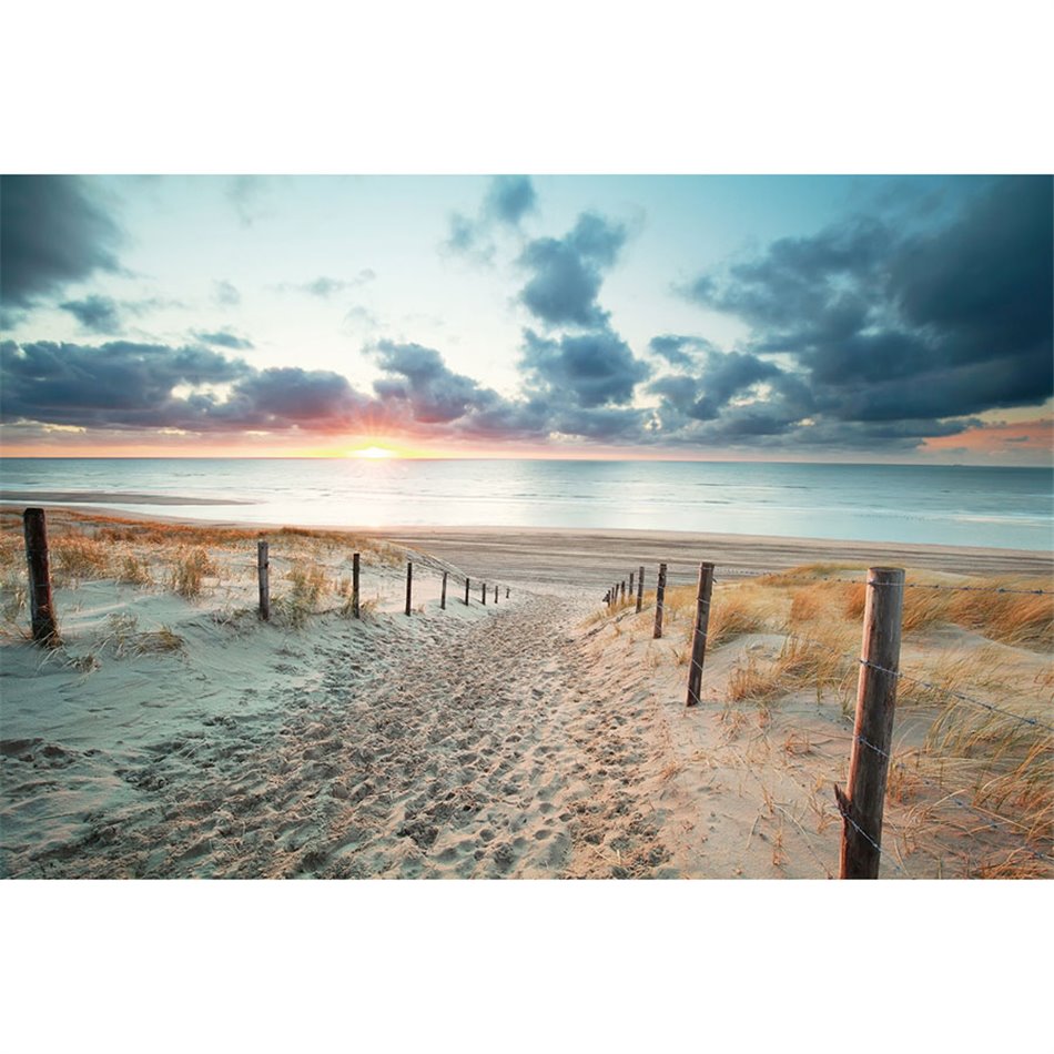 Wall glass art Beautiful evening