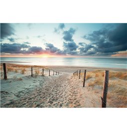 Wall glass art Beautiful evening