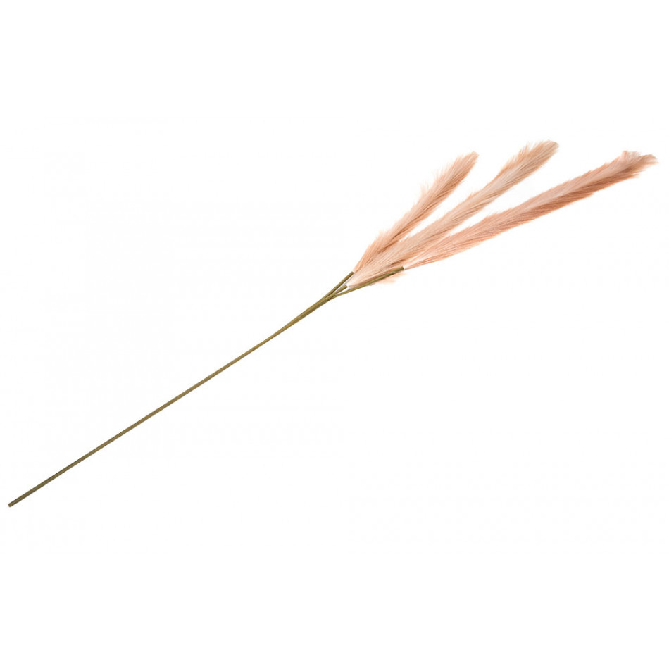 Декоративное растение Malepartyus Morning light, H140cm