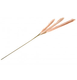 Декоративное растение Malepartyus Morning light, H140cm