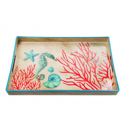 Tray Coral S, 40x26x3.6cm